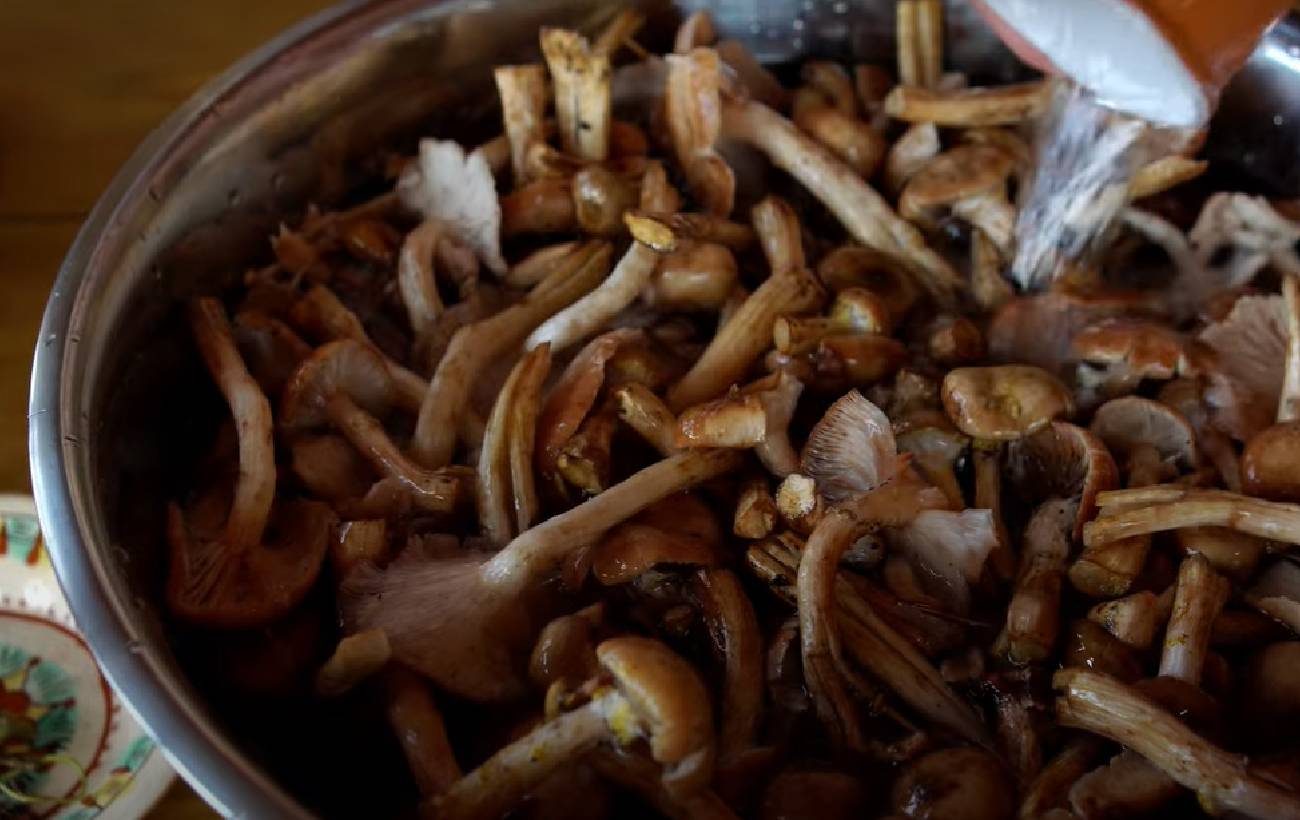 Смак осені: рецепт маринованих опеньків для смачних закусок